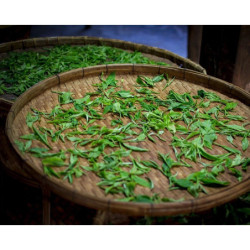 DHARA WHITE TEA