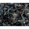 DHARA WHITE TEA