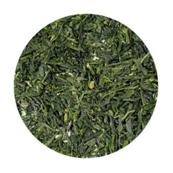 JAP. GYOKURO BIO 2024