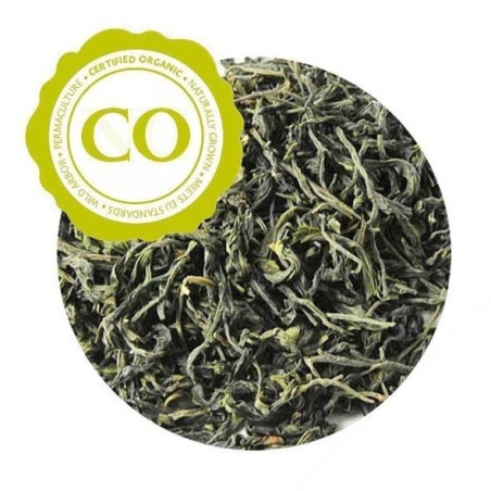 NOKCHA 50g BIO - 2024